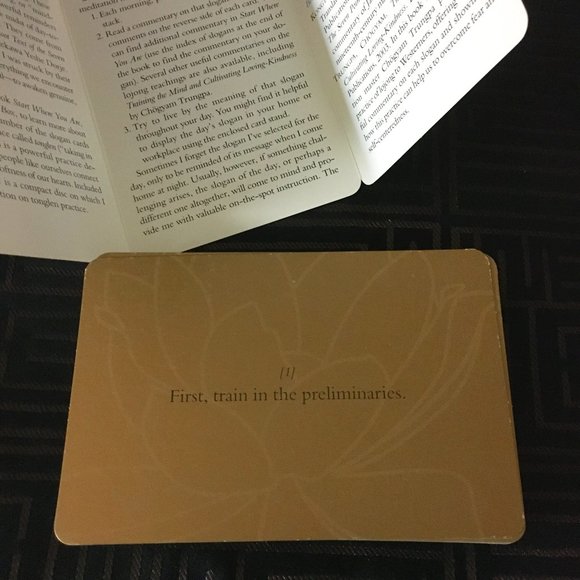 Lojong Cards By Pema Chödrön - Picture 6 of 8